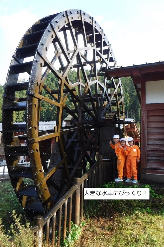 Photo_4
